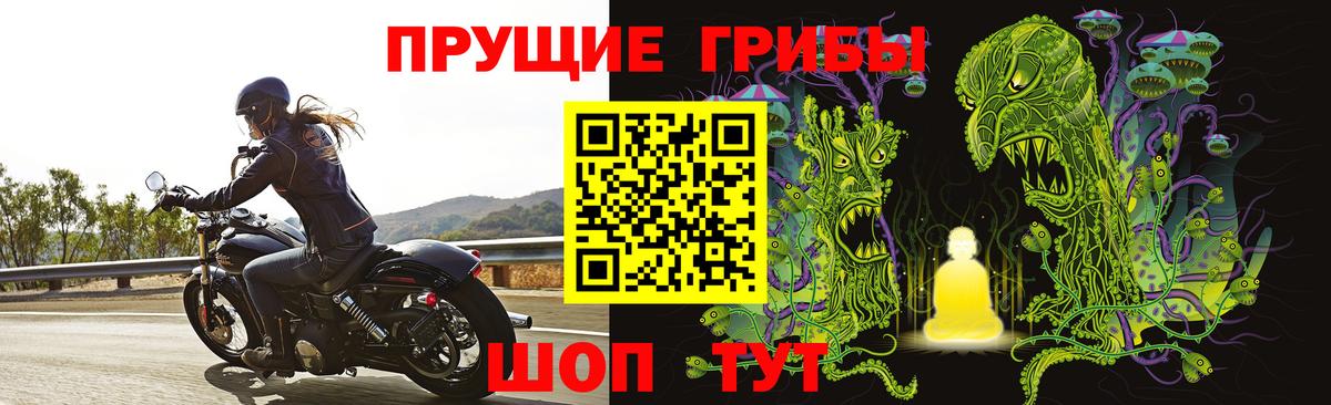 Галлюциногенные грибы прущие грибы  Вход с VPN  Галлюциногенные грибы прущие грибы  Холмск 